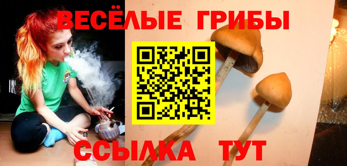 Галлюциногенные грибы Magic Shrooms  Вход с VPN  Барнаул 